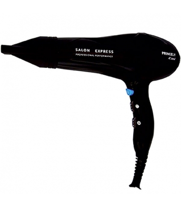 سشوار حرفه ای پرنسلی (پرینسلی) Princely PR244 Professional Hair Dryer