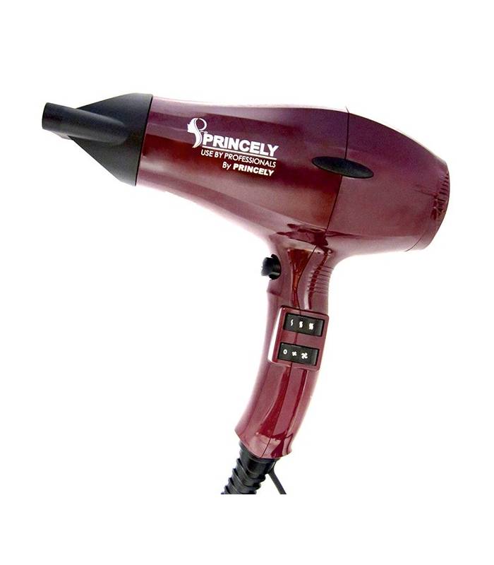 سشوار حرفه ای پرنسلی (پرینسلی) Princely PR242 Professional Hair Dryer