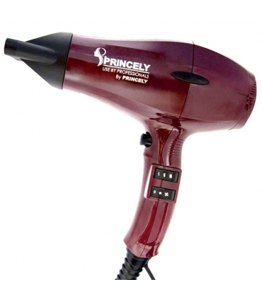 سشوار حرفه ای پرنسلی (پرینسلی) Princely PR242 Professional Hair Dryer