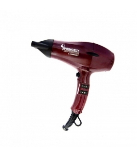 سشوار حرفه ای پرنسلی (پرینسلی) Princely PR242 Professional Hair Dryer