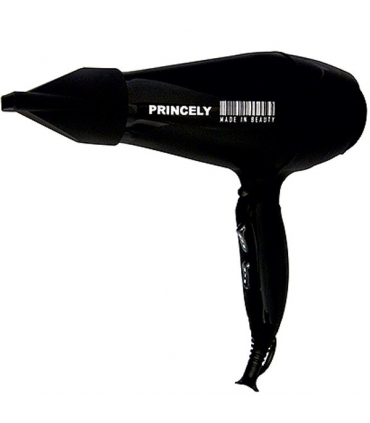 سشوار حرفه ای پرنسلی (پرینسلی) Princely PR243 Professional Hair Dryer