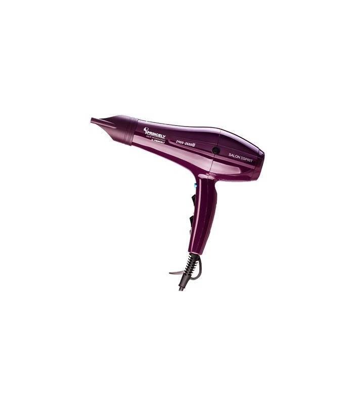 سشوار حرفه ای پرنسلی ( پرینسلی) Princely PR250AT Professinal Hair Dryer