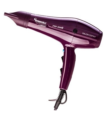 سشوار حرفه ای پرنسلی ( پرینسلی) Princely PR250AT Professinal Hair Dryer