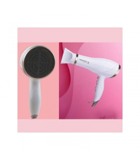 سشوار پرنسلی Princely PR239AT Hair Dryer
