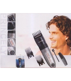 ماشین اصلاح سر و صورت پرنسلی (پرینسلی) Princely PR421AT Hair Clipper