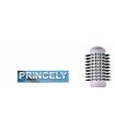 سشوار چرخشی پرنسلی (پرینسلی) Princely PR308AT Hair Dryer