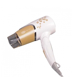 سشوار مسافرتی پرومکس Promax 1500F