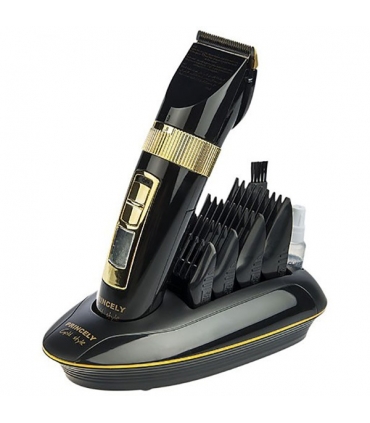 ماشین اصلاح سر و صورت پرنسلی (پرینسلی) Princely PR459AT Hair Clipper
