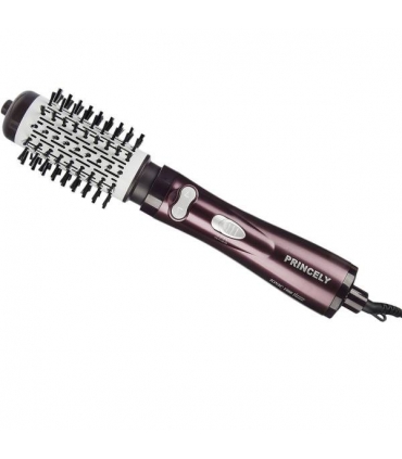 سشوار چرخشی پرنسلی Princely PR306AT Hair Dryer