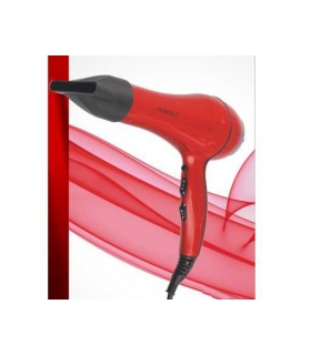 سشوار حرفه ای پرنسلی Princely PR228AT Hair Dryer