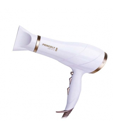 سشوار پرنسلی Princely PR239AT Hair Dryer