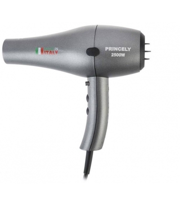 سشوار حرفه ای پرنسلی (پرینسلی) Princely PR251AT Hair Dryer