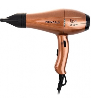 سشوار حرفه ای پرنسلی (پرینسلی) Princely PR256AT Hair Dryer