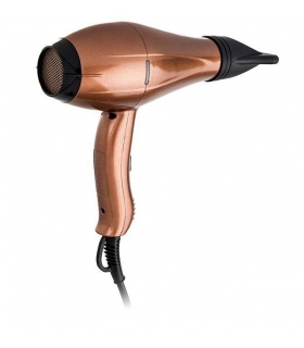 سشوار حرفه ای پرنسلی (پرینسلی) Princely PR256AT Hair Dryer