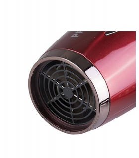 سشوار پرنسلی (پرینسلی) Princely PR261AT Hair Dryer