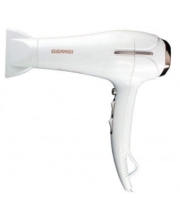 سشوار حرفه ای جیمی Gemei GM107 Hair Dryer