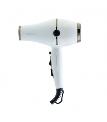 سشوار حرفه ای جیمی Gemei GM120 Professional Hair Dryer