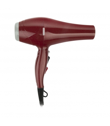 سشوار حرفه ای جیمی Gemei GM-1753 Hair Dryer