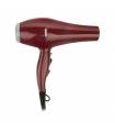 سشوار حرفه ای جیمی Gemei GM-1753 Hair Dryer