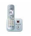 تلفن بی سیم پاناسونیک Panasonic KX-TG6821 Wireless Phone