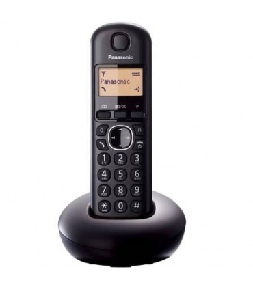 تلفن بی سیم پاناسونیک Panasonic KX-TGB210 Wireless Phone