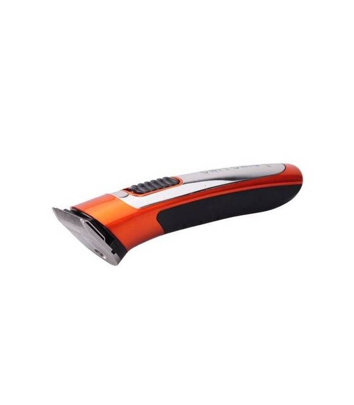 ماشین اصلاح سر و صورت دینگ لانگ DINGLONG RF-607 Trimmer