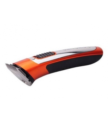 ماشین اصلاح سر و صورت دینگ لانگ DINGLONG RF-607 Trimmer