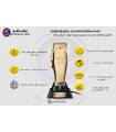 ماشین اصلاح حجم زن اندیس مستر بی سیم لیمتد ادیشن گلد andis master cordless limited edition gold