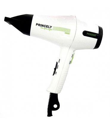 سشوار حرفه ای پرنسلی PR237AT Princely Dryer